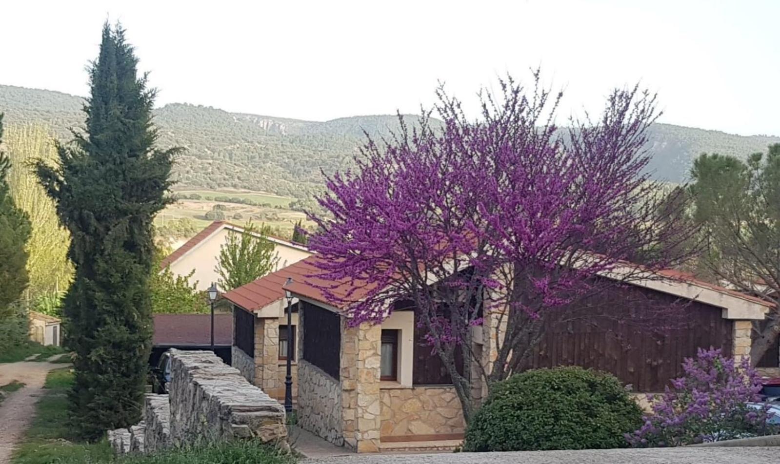 Aventura & Relax Cabanas Pena La Higuera Вияба де ла Сиера Екстериор снимка